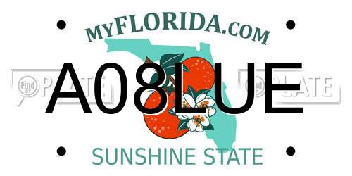 A08LUE Florida License Plate