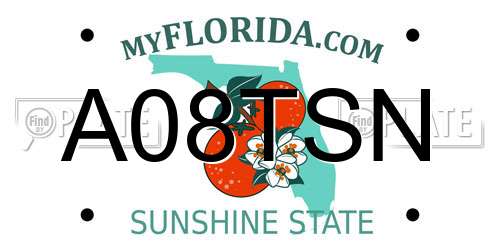 A08TSN Florida License Plate