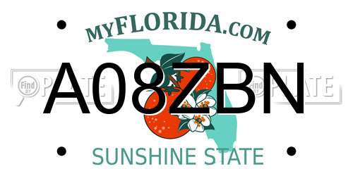 A08ZBN Florida License Plate