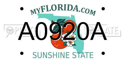A0920A Florida License Plate