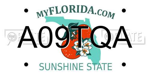 A09TQA Florida License Plate