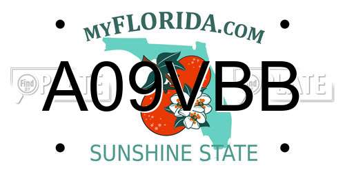 A09VBB Florida License Plate
