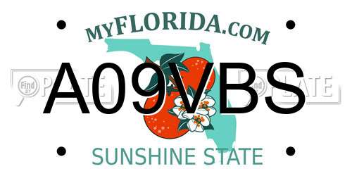 A09VBS Florida License Plate