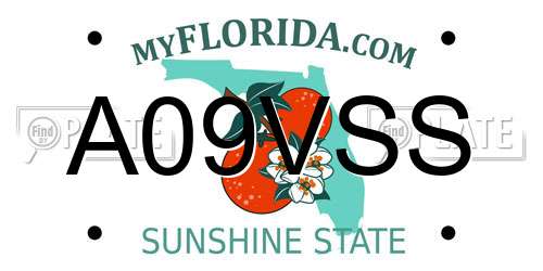 A09VSS Florida License Plate