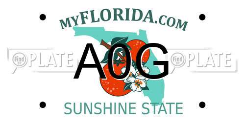 A0G Florida License Plate
