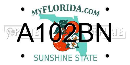 A102BN Florida License Plate