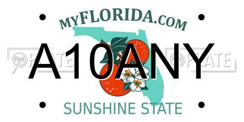 A10ANY Florida License Plate