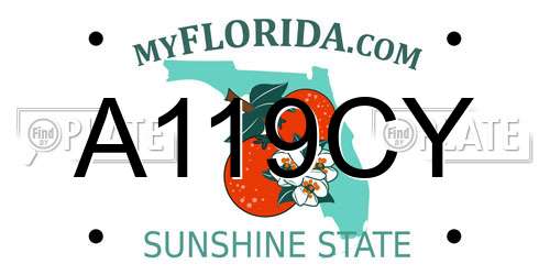 A119CY Florida License Plate