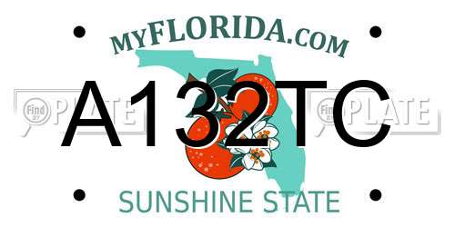A132TC Florida License Plate