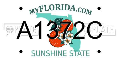 A1372C Florida License Plate