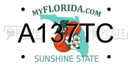 A137TC Florida License Plate