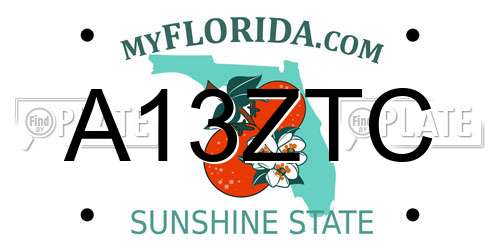 A13ZTC Florida License Plate