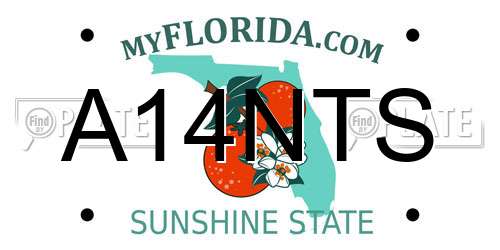 A14NTS Florida License Plate