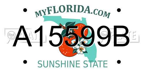 A15599B Florida License Plate