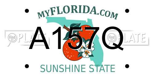 A157Q Florida License Plate