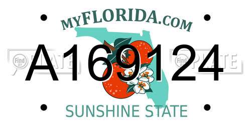 A169124 Florida License Plate