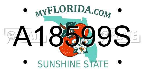 A18599S Florida License Plate