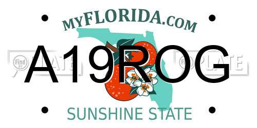 A19ROG Florida License Plate