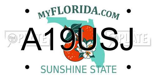 A19USJ Florida License Plate