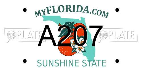A207 Florida License Plate