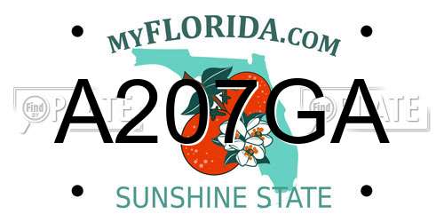 A207GA Florida License Plate
