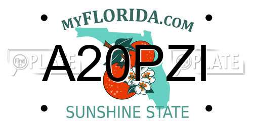 A20PZI Florida License Plate