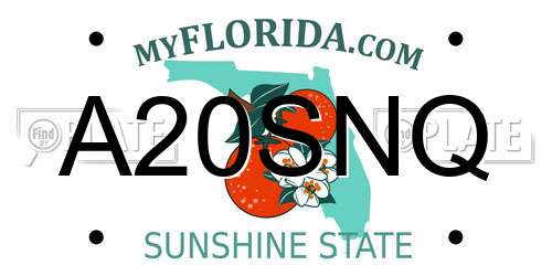 A20SNQ Florida License Plate