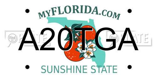 A20TGA Florida License Plate