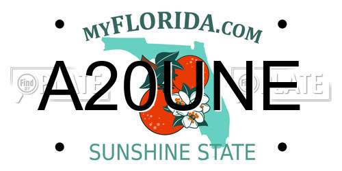 A20UNE Florida License Plate