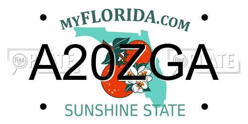 A20ZGA Florida License Plate