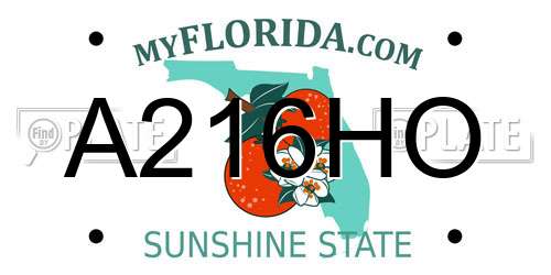 A216HO Florida License Plate