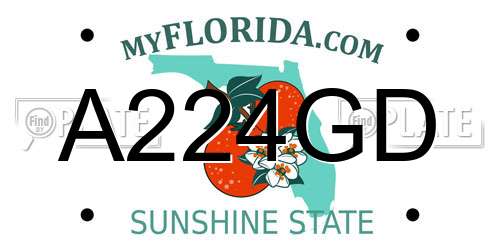 A224GD Florida License Plate