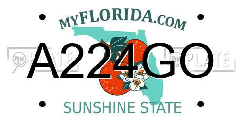A224GO Florida License Plate