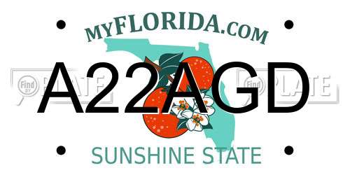 A22AGD Florida License Plate