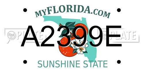A2399E Florida License Plate