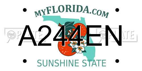 A244EN Florida License Plate