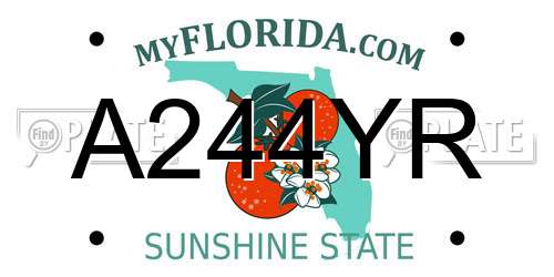 A244YR Florida License Plate