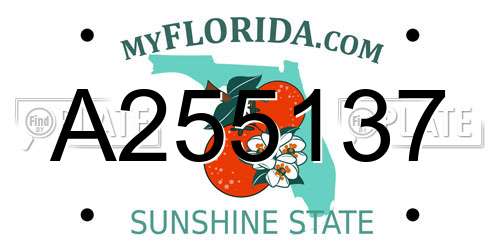 A255137 Florida License Plate
