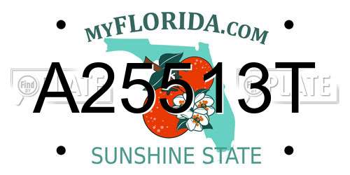 A25513T Florida License Plate