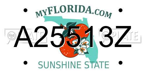 A25513Z Florida License Plate