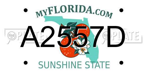 A2557D Florida License Plate