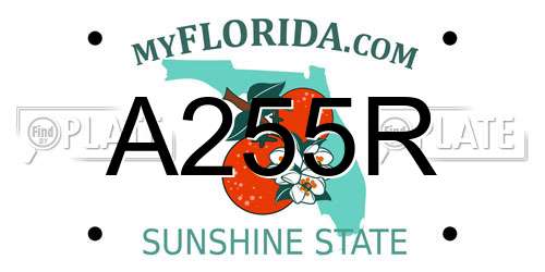A255R Florida License Plate