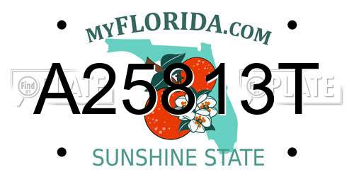 A25813T Florida License Plate