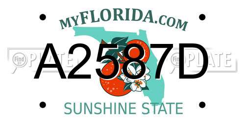 A2587D Florida License Plate