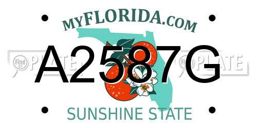 A2587G Florida License Plate