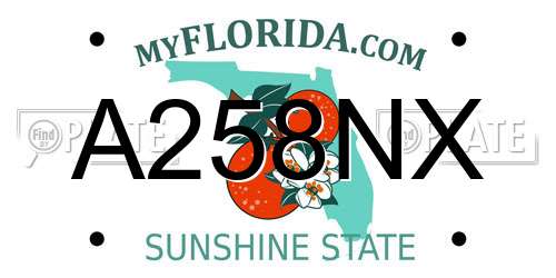 A258NX Florida License Plate