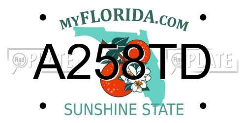 A258TD Florida License Plate