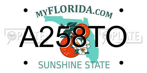A258TO Florida License Plate