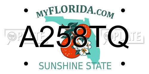 A258TQ Florida License Plate
