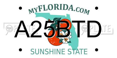 A25BTD Florida License Plate